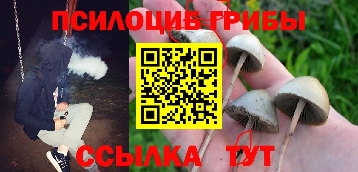 Псилоцибиновые грибы GOLDEN TEACHER Североуральск